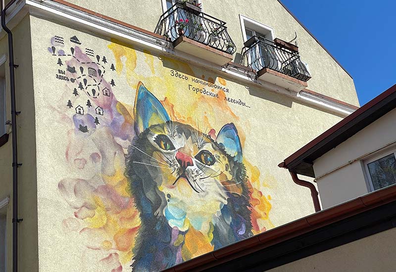 Коты на стенах Зеленоградска. Или как художники могут сделать город уникальным