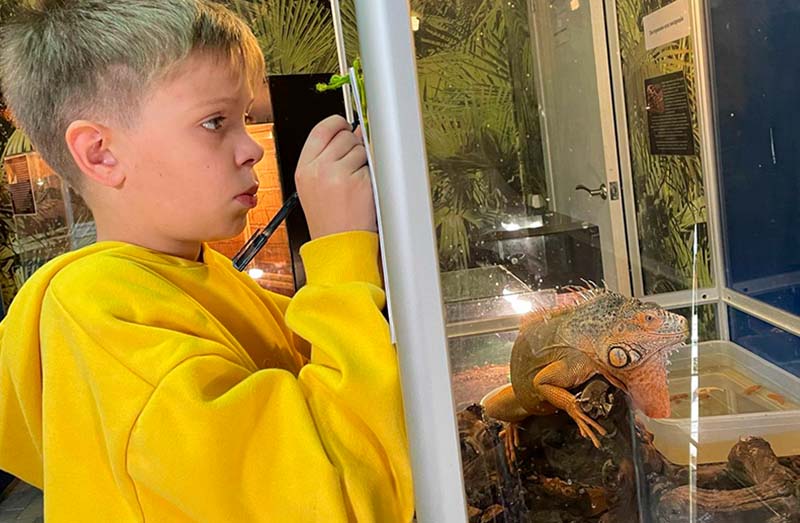 Урок с детьми на пленэре. Террариум: рисуем наброски животных